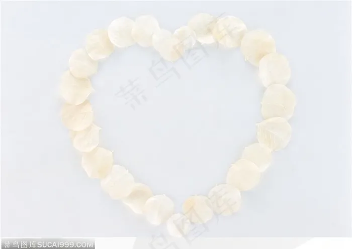 相框边框-白色花瓣组成的边框