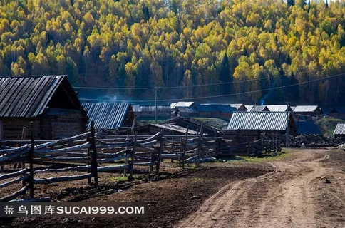 新疆阿勒泰禾木乡村森林风景