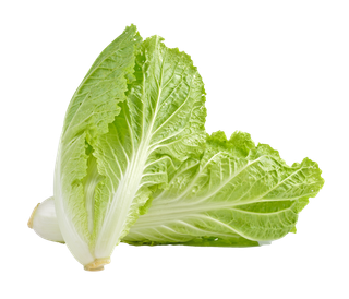 白菜 (4)超市商品白底图免抠实物摄影png格式图片透明底