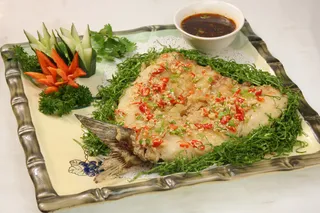 19 至尊霸王鱼-根据地