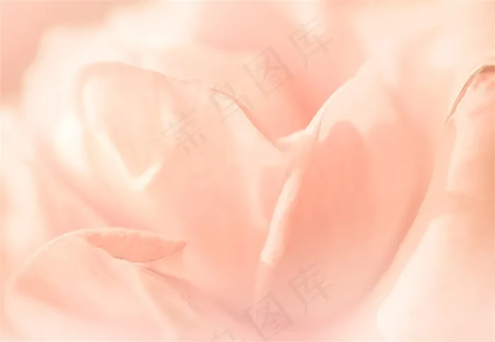 嫩粉色唯美花朵背景高清图片