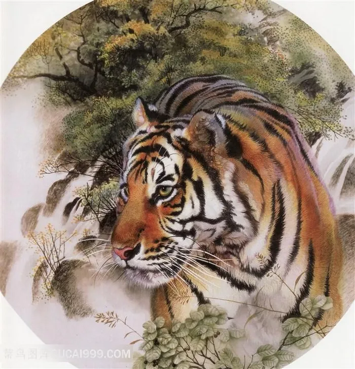 老虎手绘图片