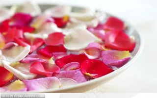 SPA美容静物用品--盘中的玫瑰花瓣