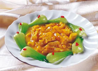 1009CS-0103黄扒鱼肚