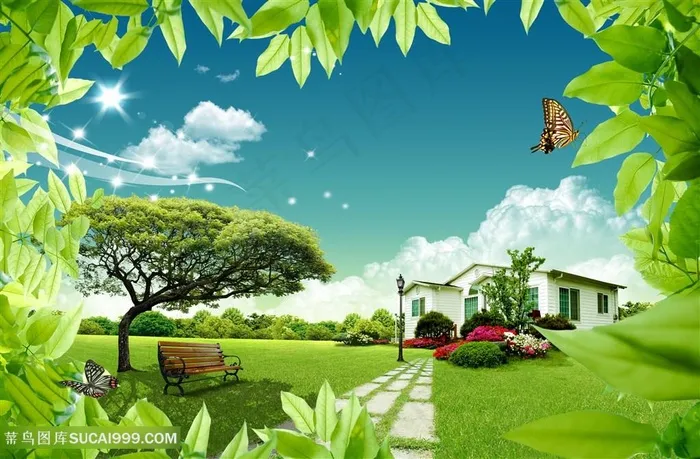 自然草地美景韩式自然背景