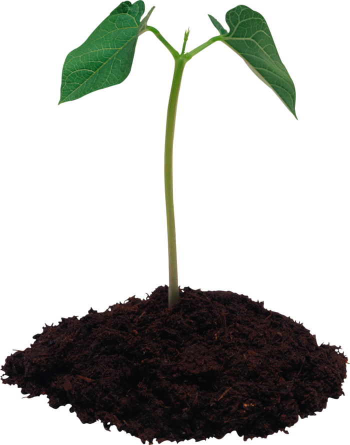 土地植物现代农业