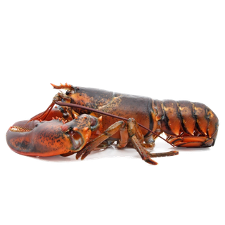 虾类(43)海鲜超市商品红酒白底图免抠实物摄影png格式图片透明底