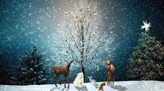 圣诞节雪花装饰风景