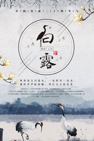 创意中国风白露传统节气海报