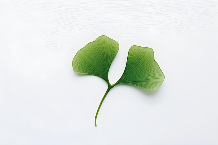 白底绿叶简约清新背景