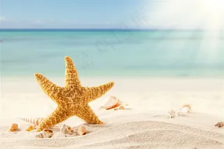 沙滩海星高清风景画