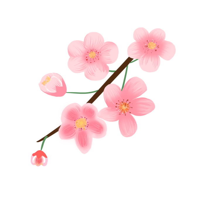 春天浪漫粉红色樱花手绘樱花梅花桃花花朵图片PNG免扣素材