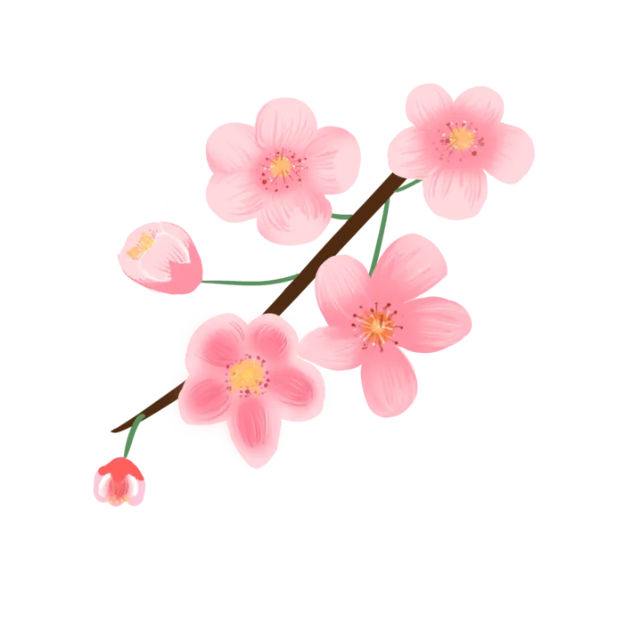 春天浪漫粉红色樱花手绘樱花梅花桃花花朵图片PNG免扣素材