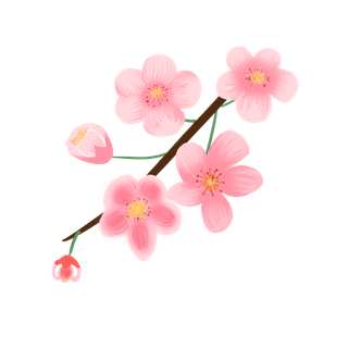 春天浪漫粉红色樱花手绘樱花梅花桃花花朵图片PNG免扣素材