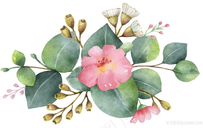 手绘果实花与叶