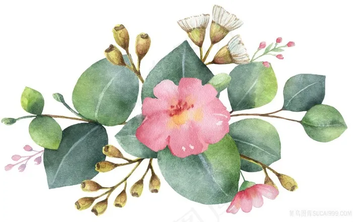 手绘果实花与叶