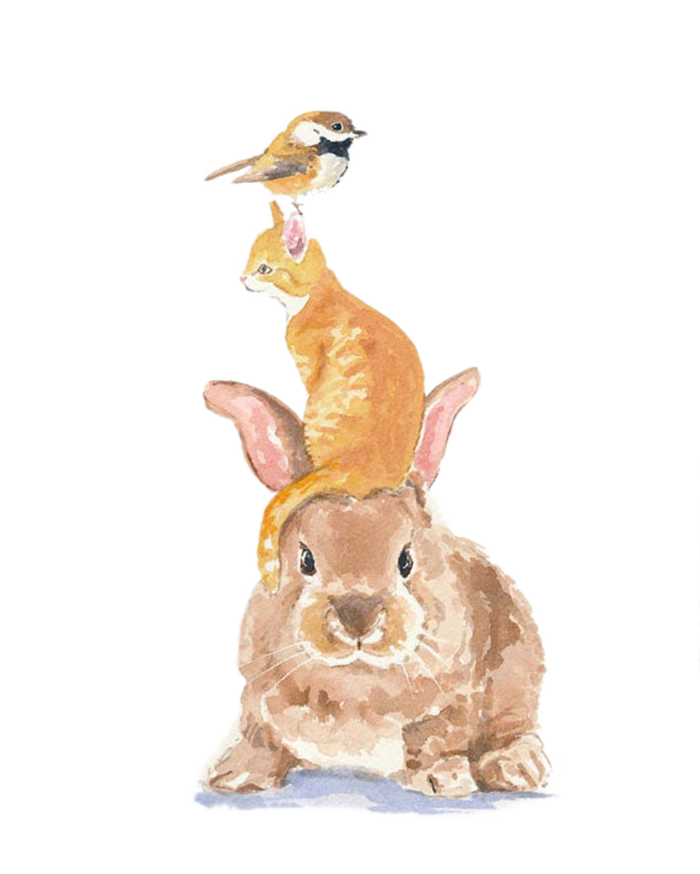 兔子猫鸟兔年