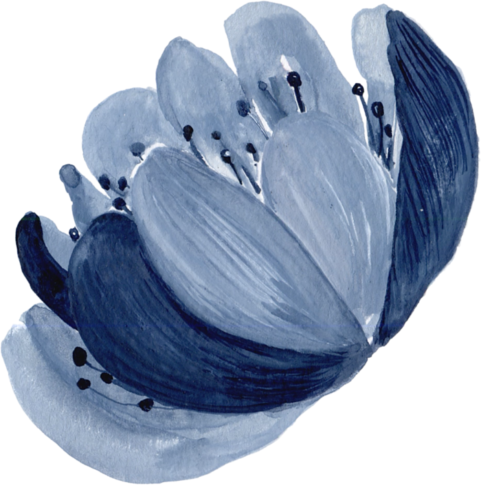 海军蓝金线水彩花卉素材