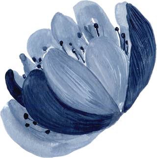 海军蓝金线水彩花卉素材