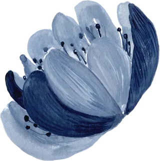 海军蓝金线水彩花卉素材