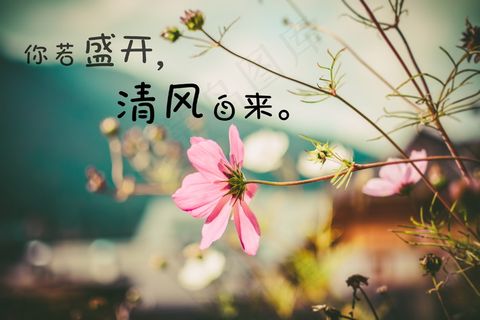 文字控说说加图片 文字控说说加图片