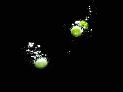 水中黑背景的植物