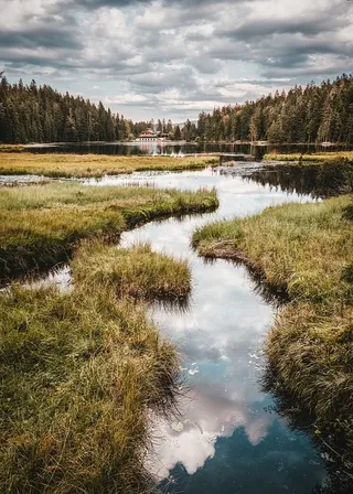 冬天自然背景风景