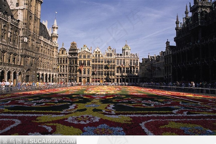 摆满盆景的广场