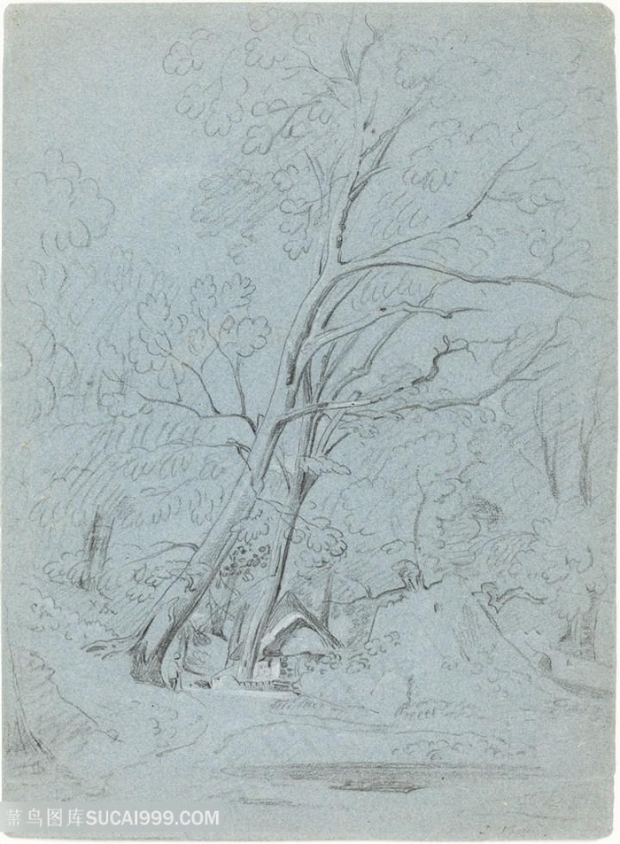 简约树木装饰画