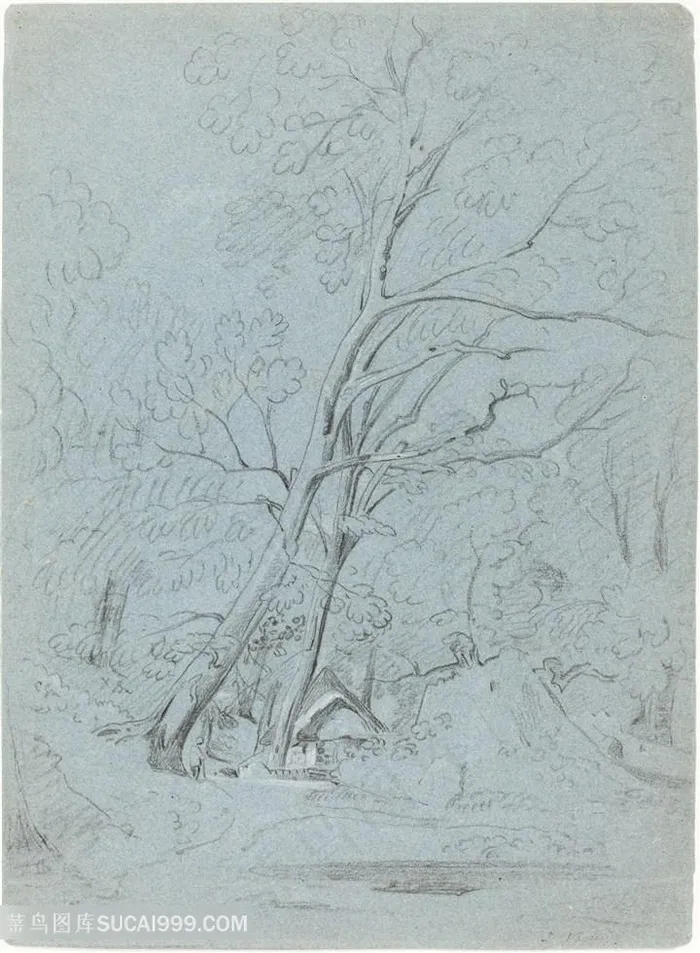 简约树木装饰画