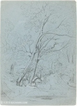 简约树木装饰画