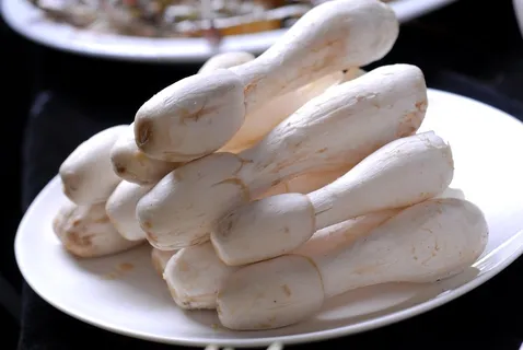 蘑菇香菇金针菇杂菇菌类美食素菜