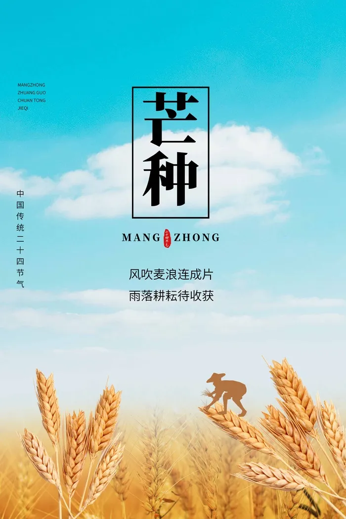 芒种 芒种活动物料psd模版下载