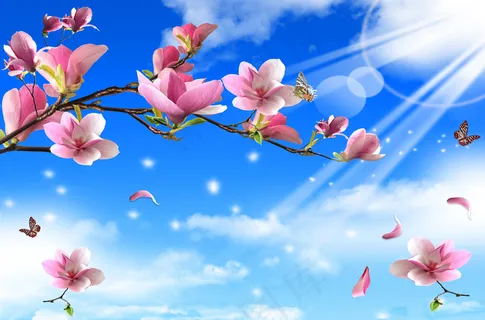粉色玉兰花图片 粉色玉兰花图片