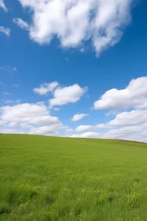 春天的蓝天白云草原很美背景图