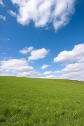 春天的蓝天白云草原很美背景图