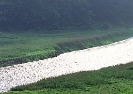 绿树山水 221 绿树山水 221
