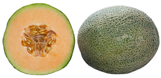 熟哈密瓜绿色
