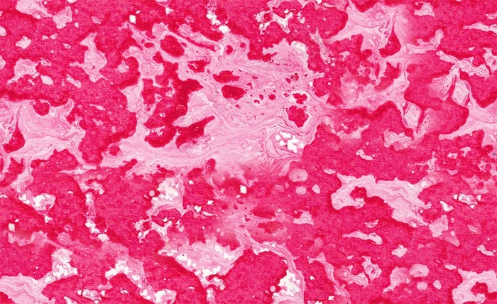 Spin时尚红色大理石背景