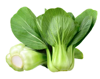 上海青 (11)超市商品白底图免抠实物摄影png格式图片透明底