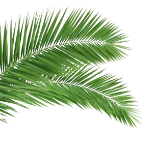 免扣叶子绿植装饰