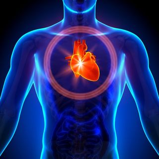 蓝色人体器官心脏图片