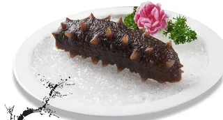 GY00152野生大海参