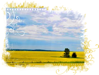 蓝天村庄乡村振兴