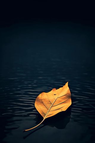 蓝色大气秋叶简约背景