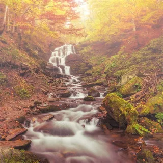 梦幻唯美的秋林自然景观