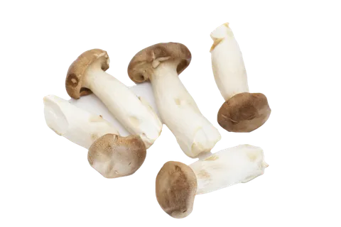 杏鲍菇超市商品白底图免抠实物摄影png格式图片透明底