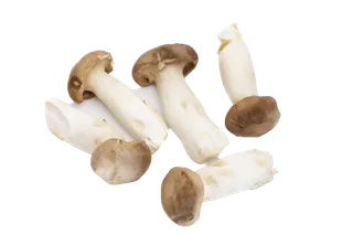 杏鲍菇超市商品白底图免抠实物摄影png格式图片透明底