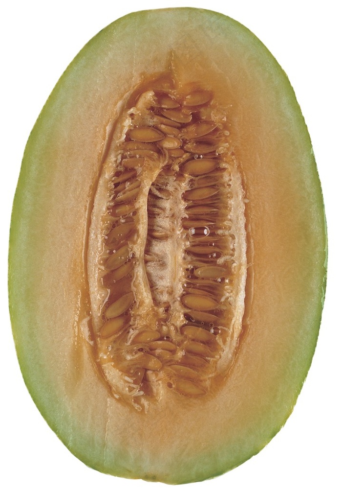 哈密瓜素材图片