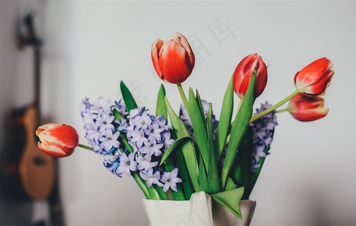 紫色小花与红色郁金香